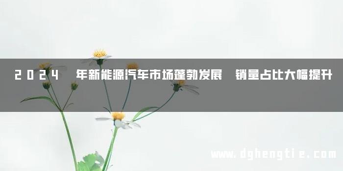 2024 年新能源汽车市场蓬勃发展 销量占比大幅提升